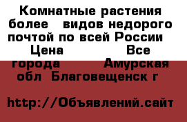 Комнатные растения более200видов недорого почтой по всей России › Цена ­ 100-500 - Все города  »    . Амурская обл.,Благовещенск г.